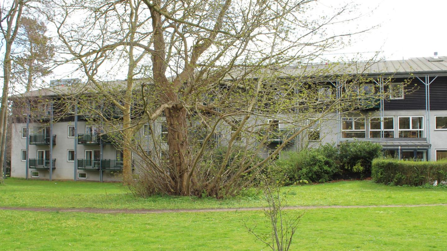Adelaide - Plejebolig in Charlottenlund, Region Hovedstaden photo 1